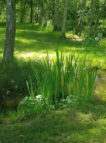 Tatil Evi La Croix Majot Regniowez